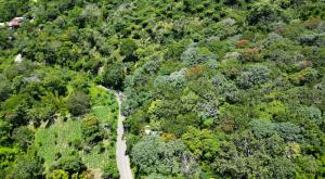 TERRENO EN VENTA CALLE A HUIZUCAR NUEVO CUSCATLAN