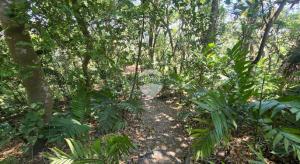 TERRENO EN VENTA KM 20 AUTOPISTA COMALAPA